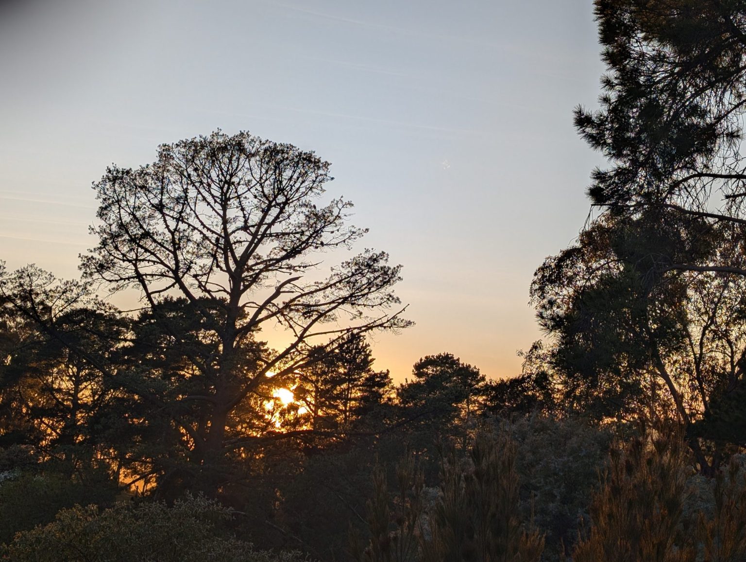 Short Walks – Goldfields Track