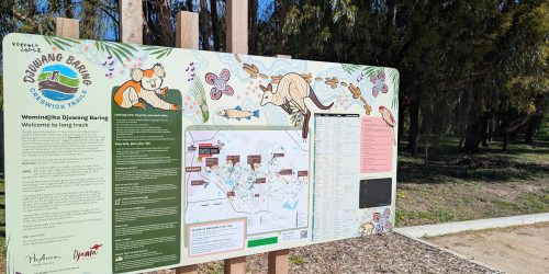 20251014_051657065-Creswick-Trails-Djuang-Baring-landscape